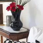 Appartement La Petite Amelie Aix-les-Bains